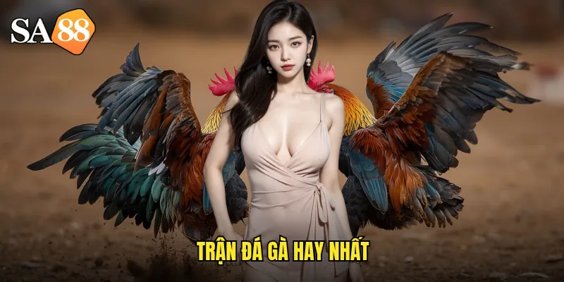 Trận Đá Gà Hay Nhất sa88: Thưởng Thức Những Pha Đấu Kinh Điển 7 trận đá gà hay nhất