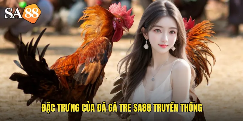 Đá Gà Tre sa88: Truyền Thống Việt Nam Với Phong Cách Độc Đáo 2 Đặc trưng của đá gà tre sa88 truyền thống