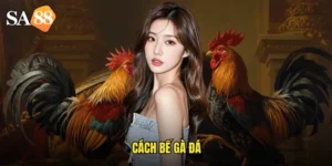 cách bế gà đá