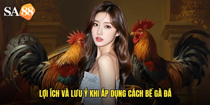 Cách Bế Gà Đá sa88: Bí Quyết Huấn Luyện Từ Chuyên Gia Hàng Đầu 3 Lợi ích và lưu ý khi áp dụng cách bế gà đá