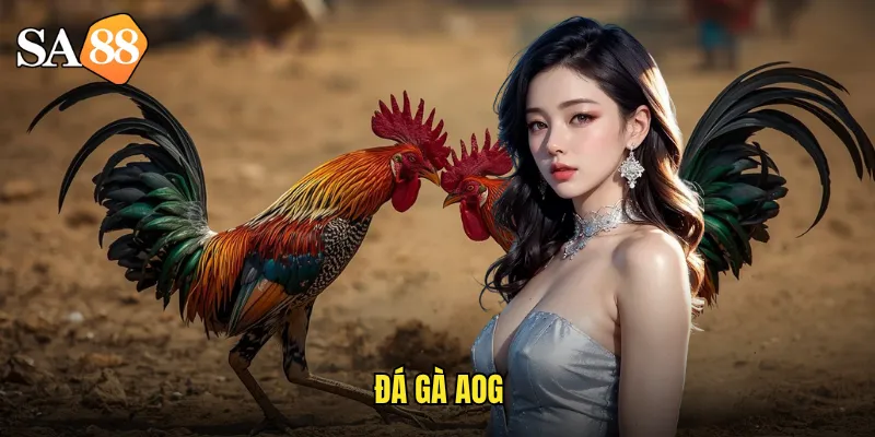 Đá Gà AOG sa88: Arena Of Glory - Vinh Quang Của Những Chiến Binh 7 đá gà aog